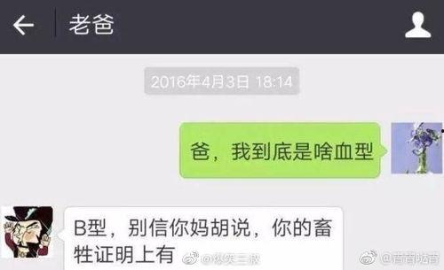 搞笑爆料新闻视频大全集,搞笑爆料新闻视频大全集精彩回顾  第2张